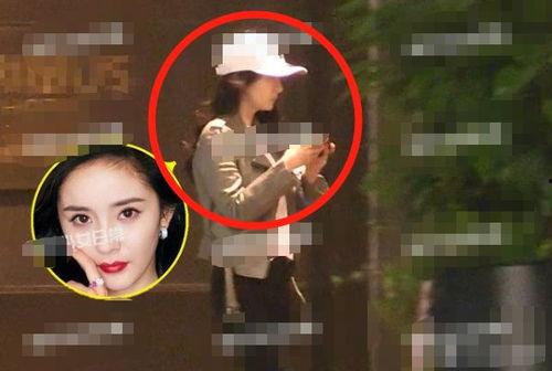 明星视频在线观看.朝阳吃瓜群众一枚的微博,跟随吃瓜群众，揭秘明星视频幕后